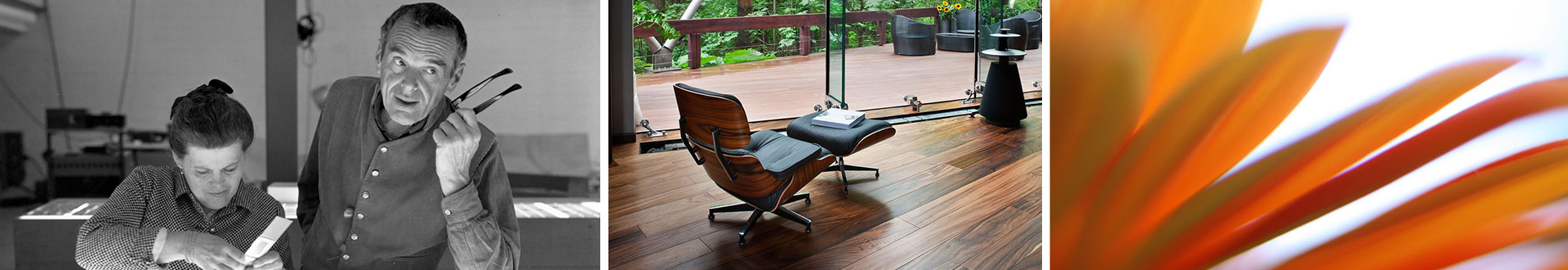 OD网页版-OD（中国）官方
 设计师