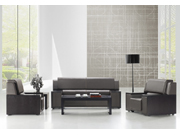 Modern Leather Sofa CG-DA8023K