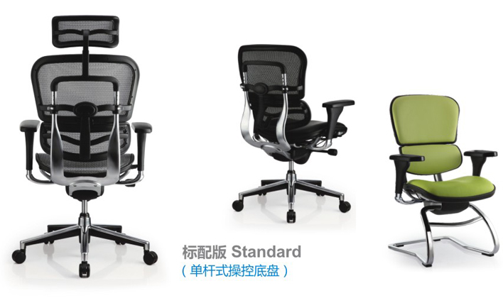 Ergohuman Series Office Chair CG-Ergohuman